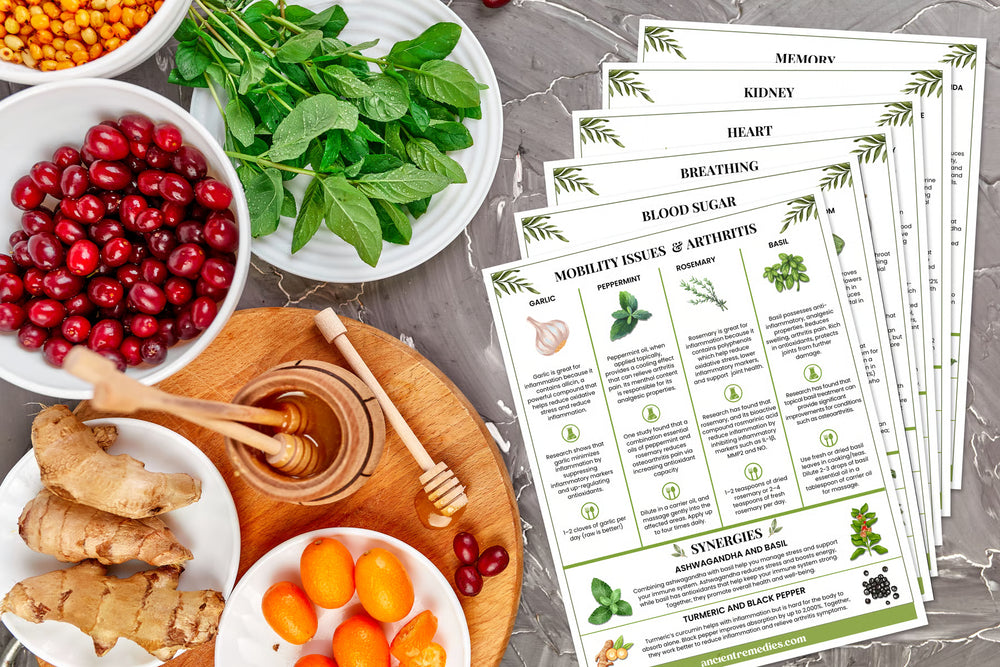 The Natural Healing Handbook — front cover